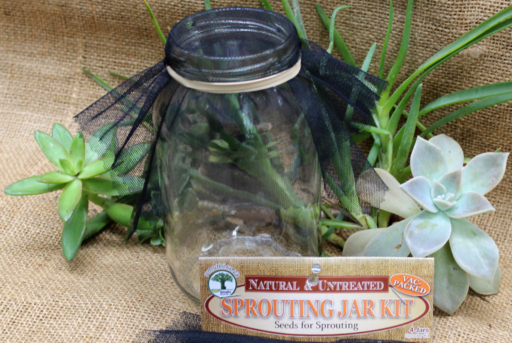 SPROUTING JAR KIT – FOR 4 JARS