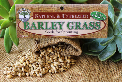 BARLEY GRASS SEEDS