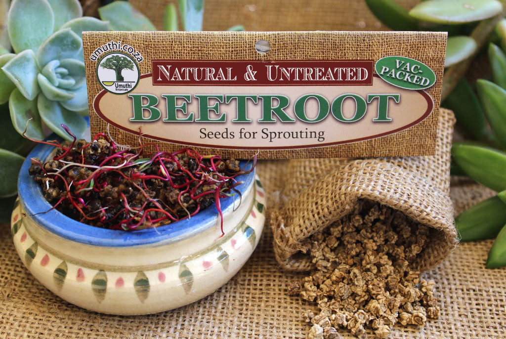 BEETROOT SEEDS