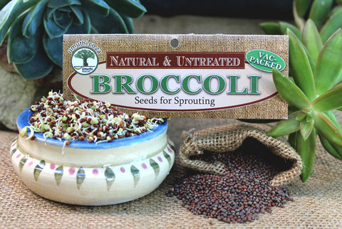 BROCCOLI SPROUTING SEEDS