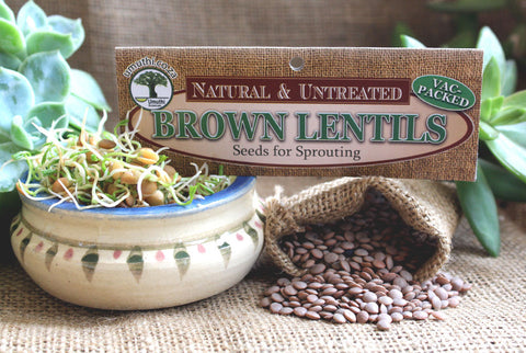 LENTILS, BROWN/BLACK <BR> for Sprouting