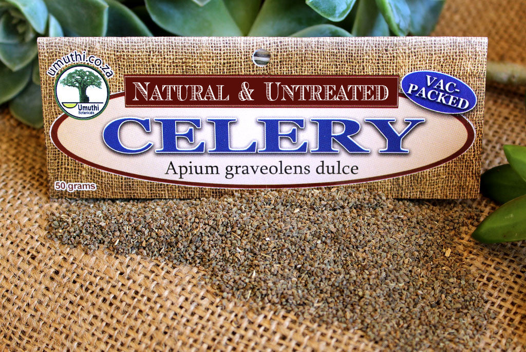 CELERY SEEDS