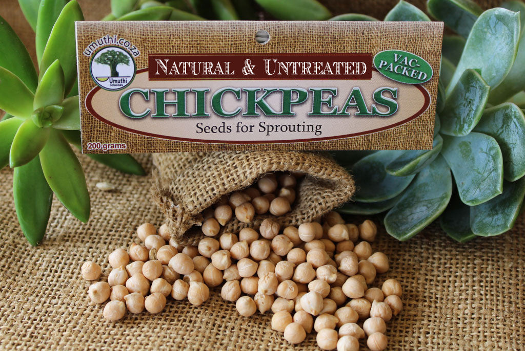 CHICKPEA SEEDS