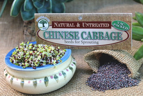 CHINESE CABBAGE SEEDS