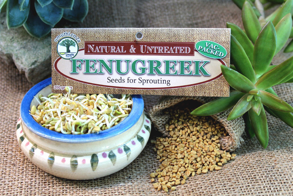 FENUGREEK SEEDS