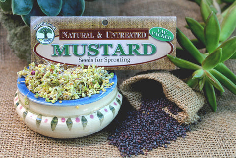 MUSTARD SEEDS