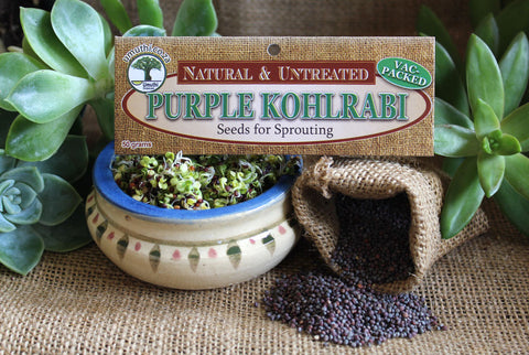 PURPLE KOHLRABI SEEDS