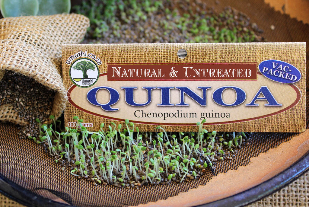 QUINOA