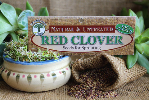 RED CLOVER SEEDS