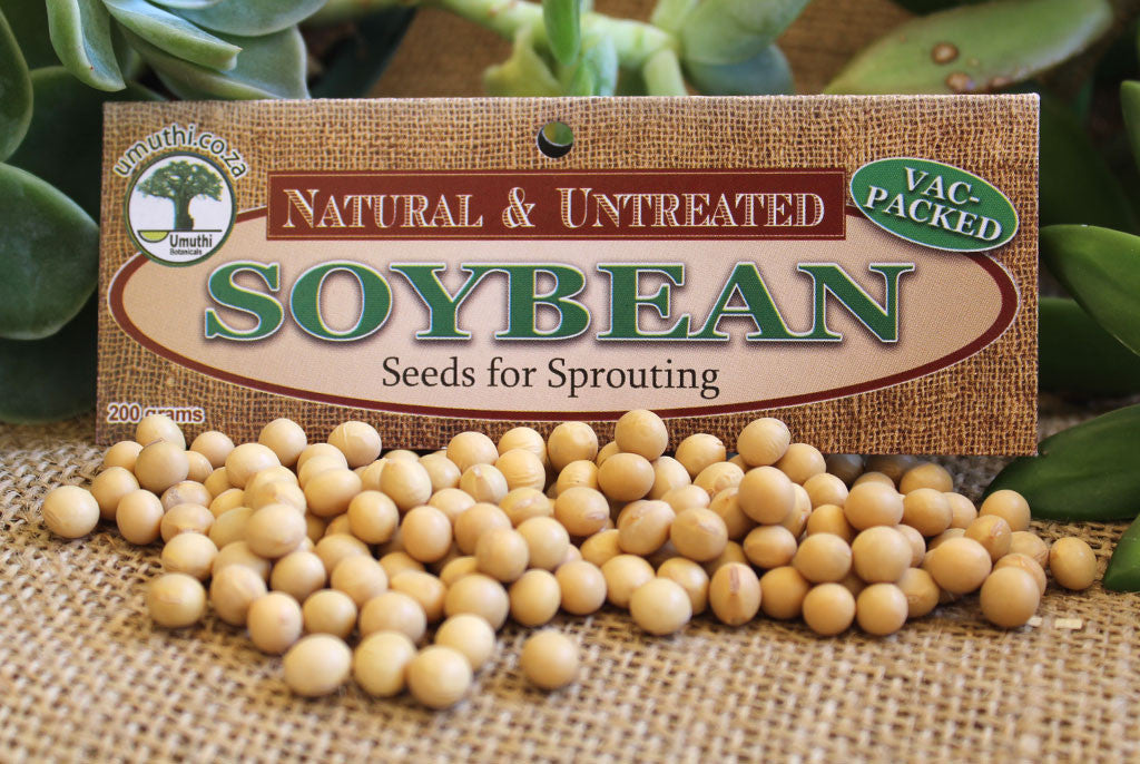 SOYA (SOY) BEANS