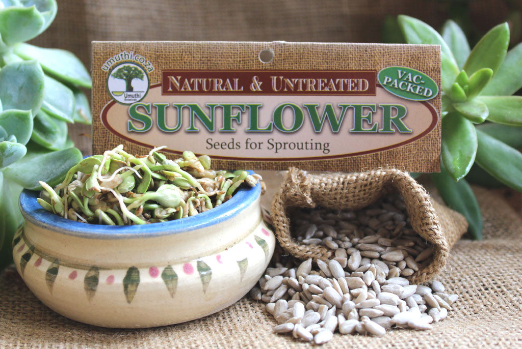 SUNFLOWER SEEDS