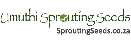 SproutingSeeds.co.za